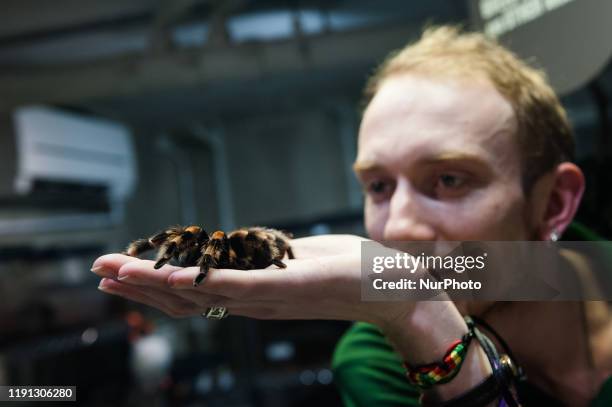 Zookeeper holds a Mexican red-kneed spider during the annual stocktake at ZSL London Zoo on 02 January, 2020 in London, England. Each year keepers...