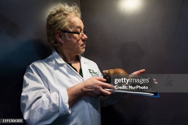 Zookeeper holds a giant African land snail during the annual stocktake at ZSL London Zoo on 02 January, 2020 in London, England. Each year keepers...