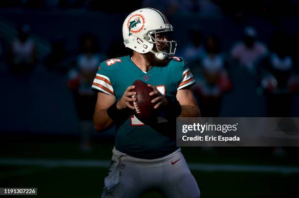 Ryan Fitzpatrick of the Miami Dolphins drops back to pass during the second half against the Philadelphia Eagles at Hard Rock Stadium on December 01,...