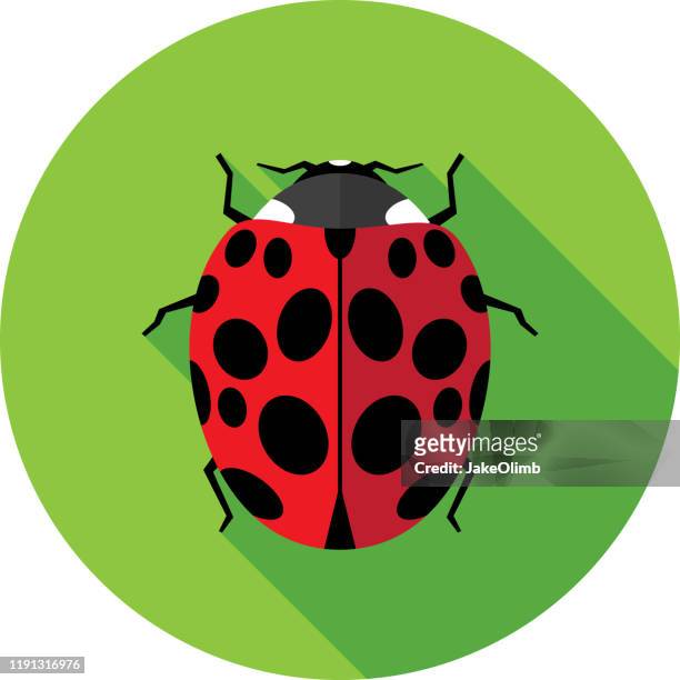 ilustraciones, imágenes clip art, dibujos animados e iconos de stock de ladybug icon flat - mariquita