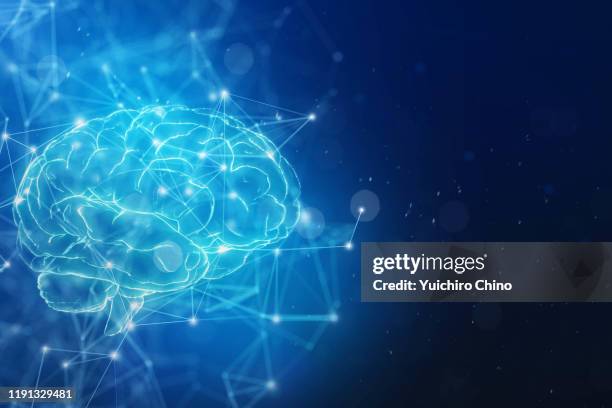 brain and network - neuroscience photos et images de collection