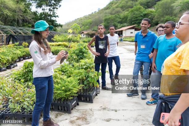 At Instituto Terra, the colaborator Jaqueline is holding a Yellow Peroba seedling and guiding students from a school on a visit through the seedlings...