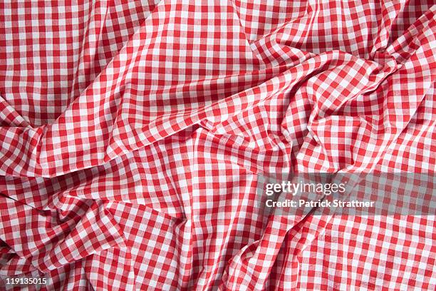 a wrinkled gingham picnic blanket - manta de picnic fotografías e imágenes de stock