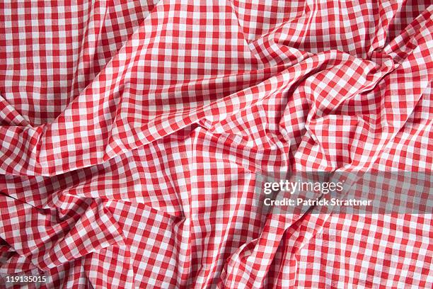 a wrinkled gingham picnic blanket - gingham stock pictures, royalty-free photos & images