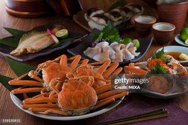seafood of hokuriku region - chionoecetes opilio - fotografias e filmes do acervo