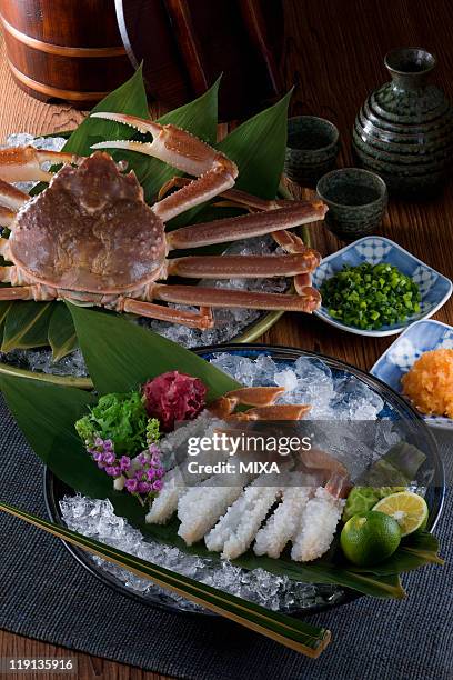 sashimi of echizen-gani - chionoecetes opilio - fotografias e filmes do acervo