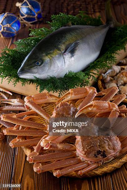 seafood of toyama bay - chionoecetes opilio stock pictures, royalty-free photos & images