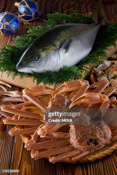 seafood of toyama bay - chionoecetes opilio - fotografias e filmes do acervo