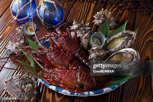 Awabi Shell 28 Awabi Shell Stock Photos, High-Res Pictures, and Images - Getty Images