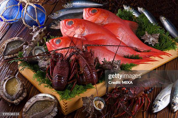 Awabi Shell Awabi Shell Photos and Premium High Res Pictures - Getty Images