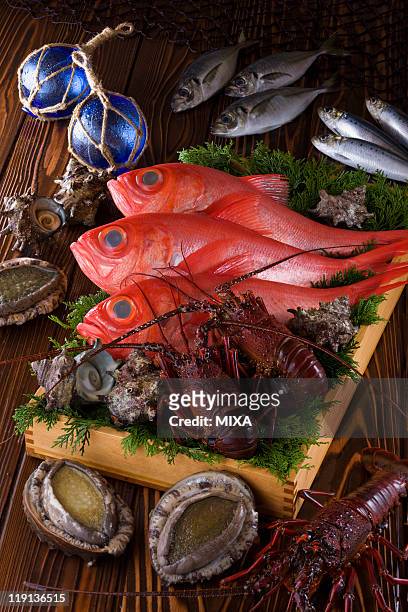 seafood of izu region - trachurus japonicus stock-fotos und bilder