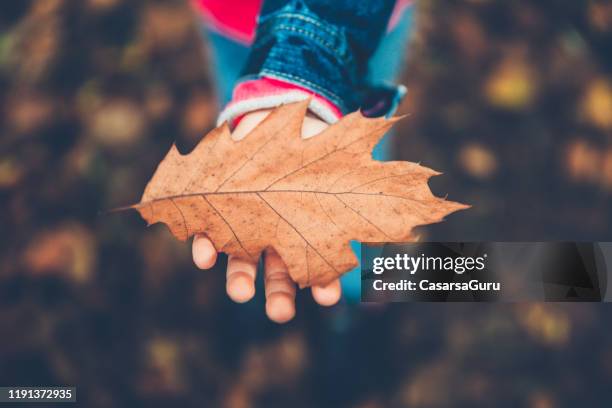 Young Girl Holding Oak Leaves in Autumn - Stock Photo