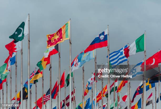 variety of international flags on a cloudy day - day un stockfoto's en -beelden