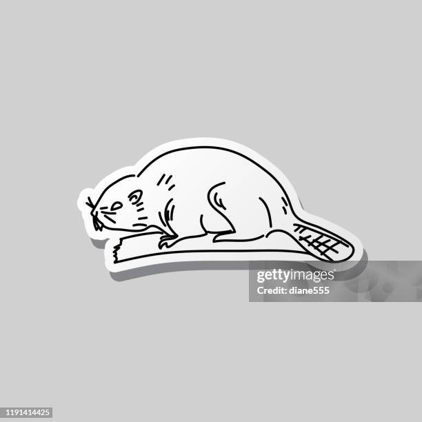 biber schwarz und weiß doodle kanada-symbol - beaver stock-grafiken, -clipart, -cartoons und -symbole