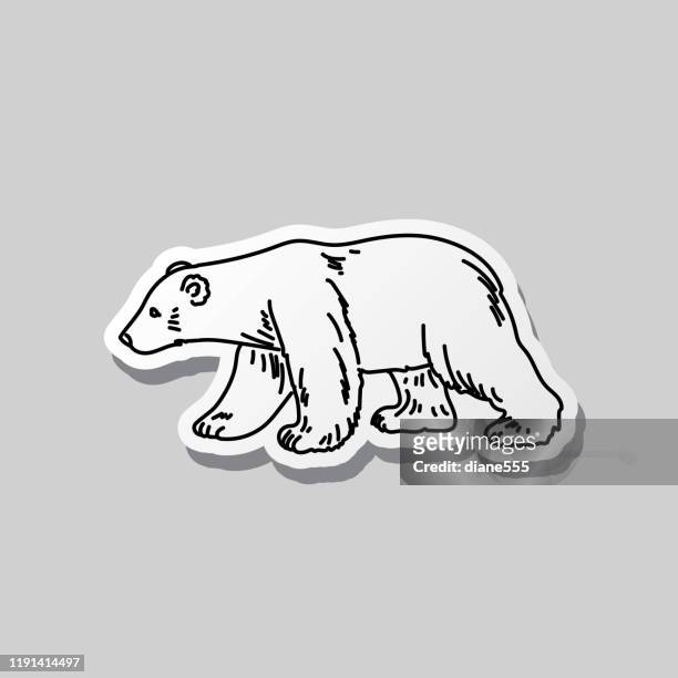 polar bear black and white doodle canada icon - bear stock illustrations