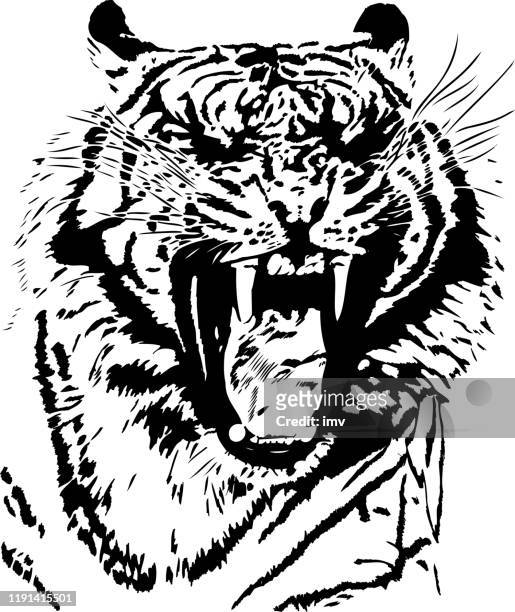 tiger gähnt in schwarzen linien - yawn stock-grafiken, -clipart, -cartoons und -symbole