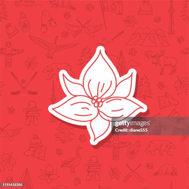 doodle canada icon on pattern background - trillium stock illustrations