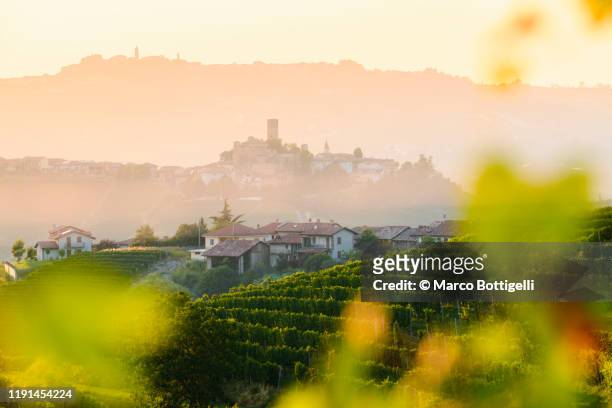 vineyards at sunset, langhe wine region (unesco site), piedmont - alba imagens e fotografias de stock