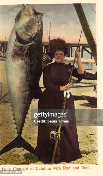 Tuna fishing, Sea anglers with fish in the United States, Female fishermen, Thunnus orientalis, Angling in California, Fashion in 1901, 1901 in...
