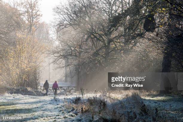 two people walking through hatfield forest at dawn - hatfield stock pictures, royalty-free photos & images