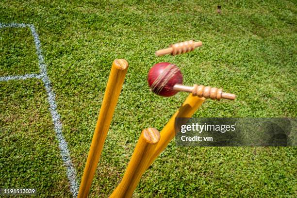 bille de cricket frappant les souches - cricket field photos et images de collection