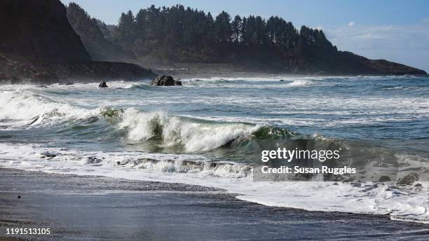 waves on wilson creek beach, jedediah smith redwoods state park, california - redwood shores fotografías e imágenes de stock