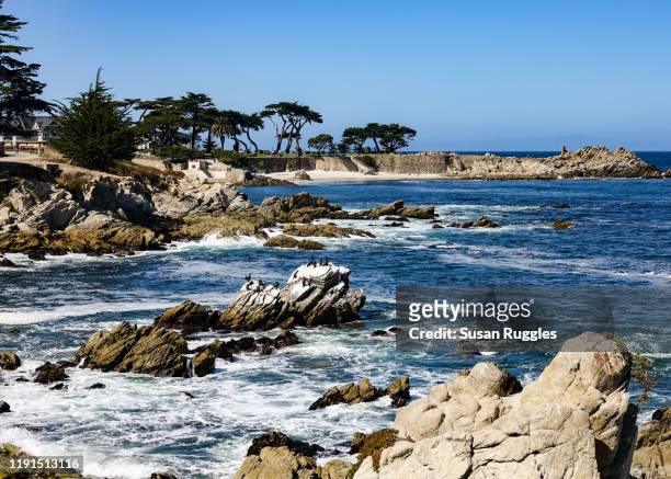 view of lovers point, monterey bay coastal trail, pacific grove, california - pacific grove stock pictures, royalty-free photos & images