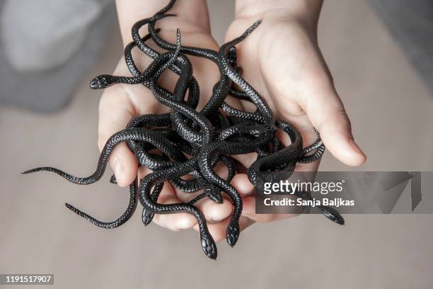 boy holding a snakes - irrational fear stock pictures, royalty-free photos & images