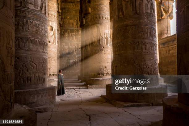 el guardián del templo, egipto - dendera fotografías e imágenes de stock
