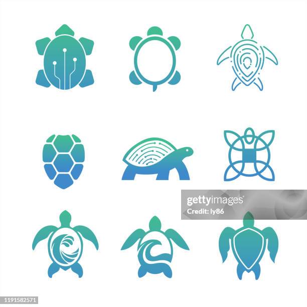 turtle icons, shield icons, set of 9 - tortoise stock illustrations