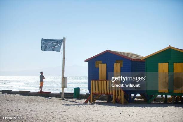 shark flag with surfer looking at the ocean with beach huts - backstage sign stock pictures, royalty-free photos & images