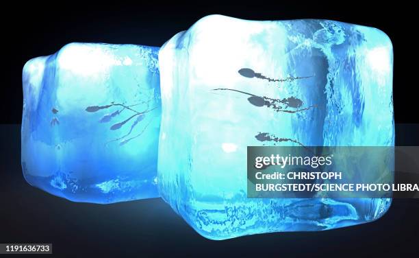 frozen sperm, conceptual illustration - ice cube stock illustrations
