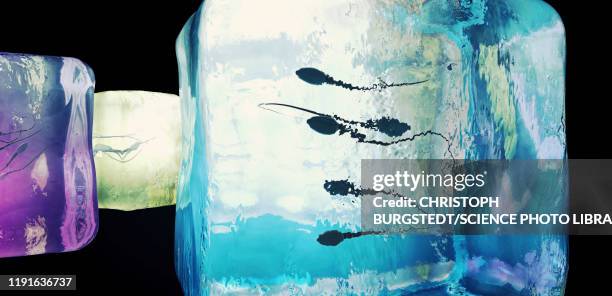 frozen sperm, conceptual illustration - cryopreservation stock illustrations