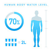 Water Percentage of human body illustration, Chart