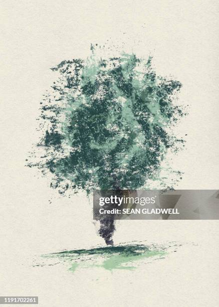 Tree Splashes 8,744 Watercolor Tree Stock Photos, High-Res Pictures, and Images ...
