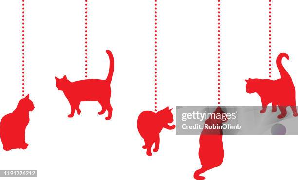 5 162点の猫 しっぽのストックフォト Getty Images 5 162点の猫 しっぽのストックフォト Getty Images