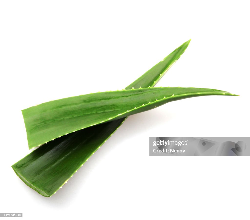 Aloe Vera On White Background