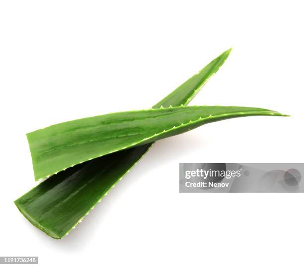 aloe vera on white background - aloe vera gel stock pictures, royalty-free photos & images