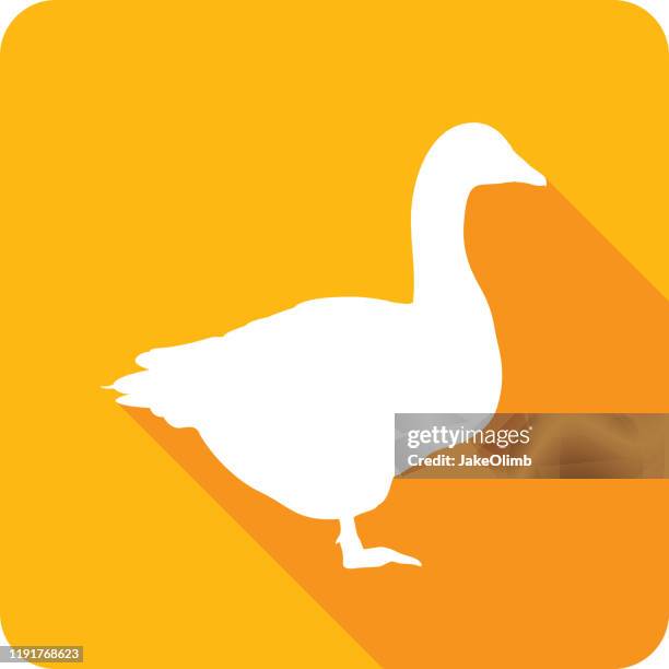 goose icon silhouette - goose stock illustrations stock illustrations