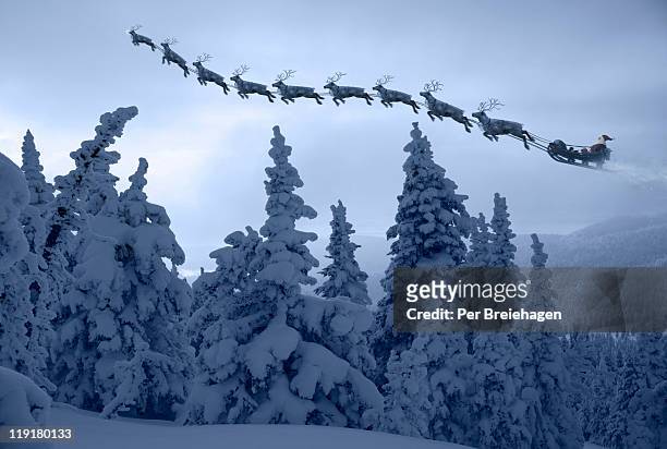 santa clause and his reindeer above a snowy forest - sleigh - fotografias e filmes do acervo
