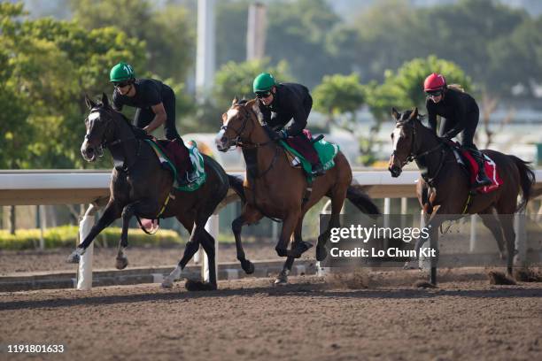 December 4 : Mount Everest , Anthony Van Dyck and Magic Wand exercise at Sha Tin Racecourse on December 4, 2019 in Hong Kong.