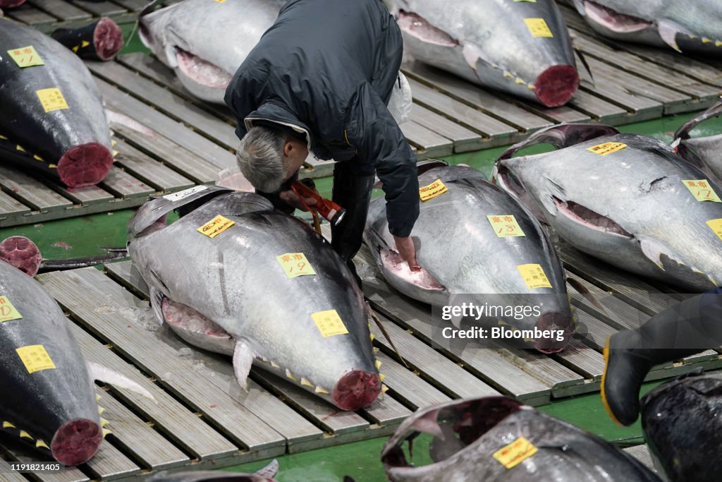 Bluefin Tuna Fetches $1.79 Million in Tokyos New Year Auction