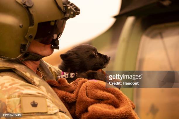 In this handout provided by the Australian Department of Defence, an Australian Army soldier carries an evacuee's dog onto an Australian Army CH-47F...