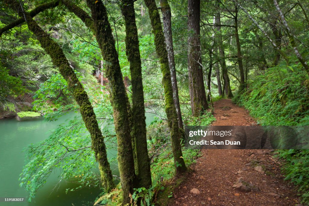 Hike