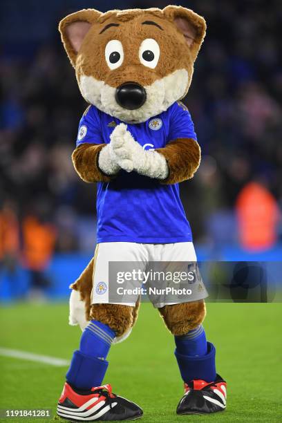 273 Filbert Fox Stock Photos, High-Res Pictures, and Images - Getty Images