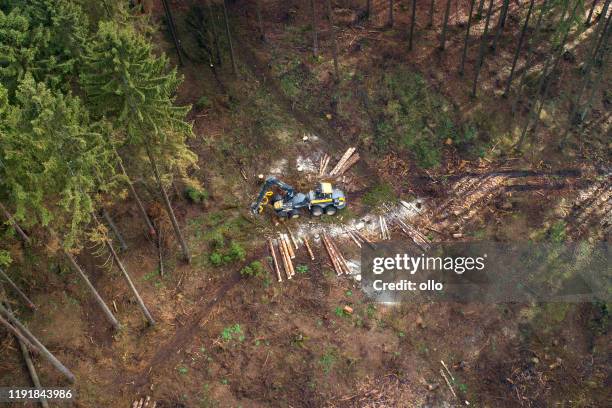 baumfällarbeiten - sturmschäden, luftbild - forstwirtschaft stock-fotos und bilder