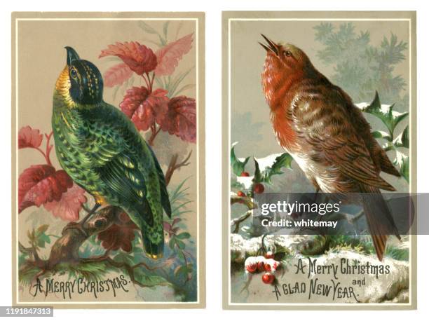 two victorian christmas cards with birds, 1878 - archival christmas stock illustrations