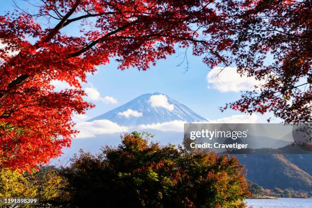 lake kawaguchi is famous for its beautiful autumn foliage and the view of mt fuji in november. here are photos taken around lake kawaguchi, one of the fuji five lakes. lake kawaguchi is a part of fuji-hakone-izu national park. mt fuji is designated as une - fuji hakone izu national park stock-fotos und bilder