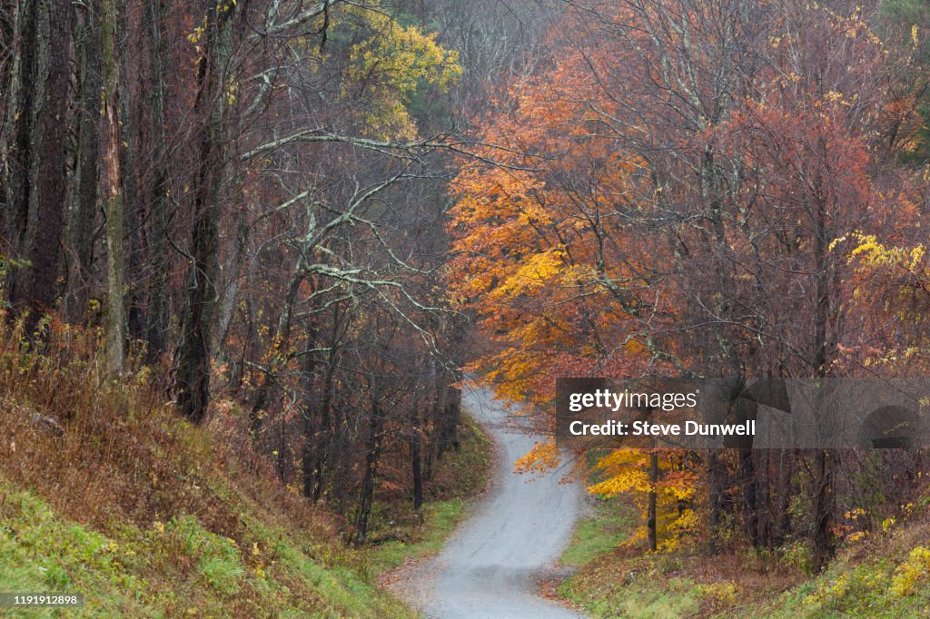 Country road, Tyringham, MA Berkshire autumn woods