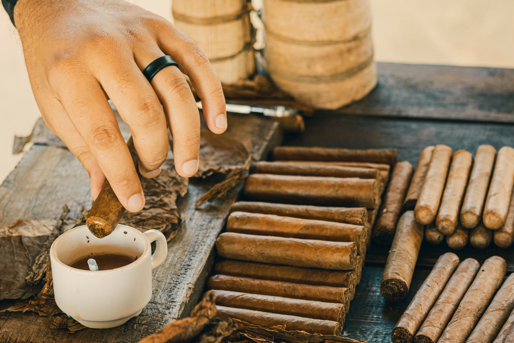 tasting cigars